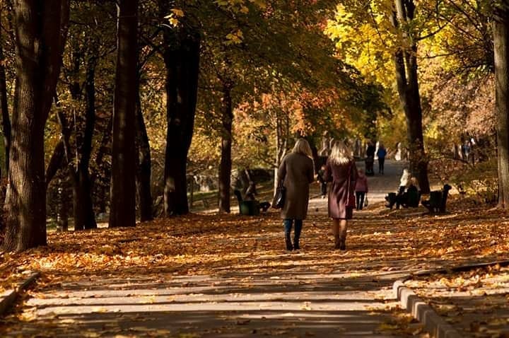 парк шевченка осінь