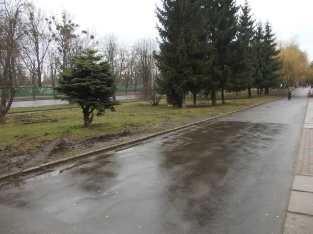 Те, що газон у Рівному не паркова – розуміють далеко не усі (Фото) — фото 1