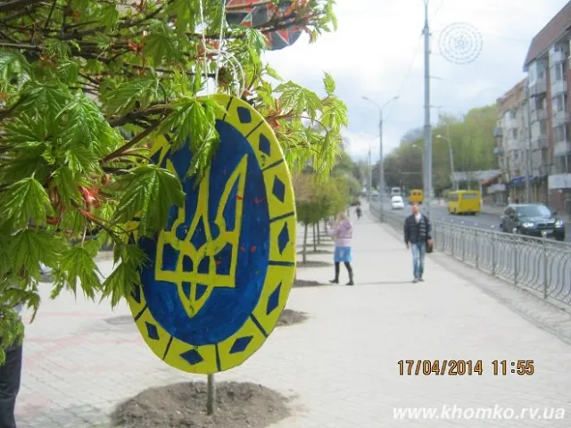 У Рівному дерева прикрасили писанками (Фоторепортаж) — фото 3