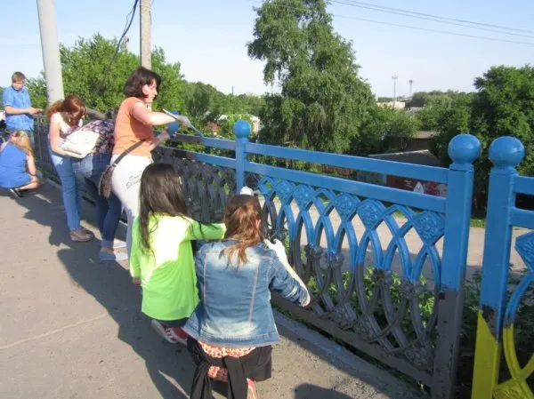 Активісти пофарбували центральний міст у Рівному у жовто-блакитні кольори (Фоторепортаж) — фото 5