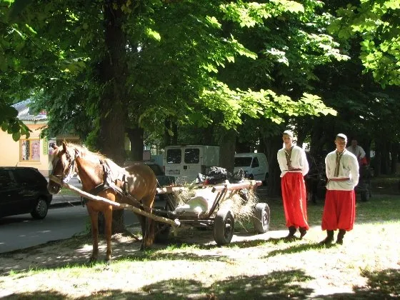 Рівненські козаки з нагоди 363-річчя Битви під Берестечком влаштували похід до місця події (Фоторепортаж) + (Відео) — фото 8