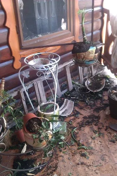 В помешкання Олександра Васильєва, на прізвисько «Іспанець» влетіла граната (Фото) — фото 2