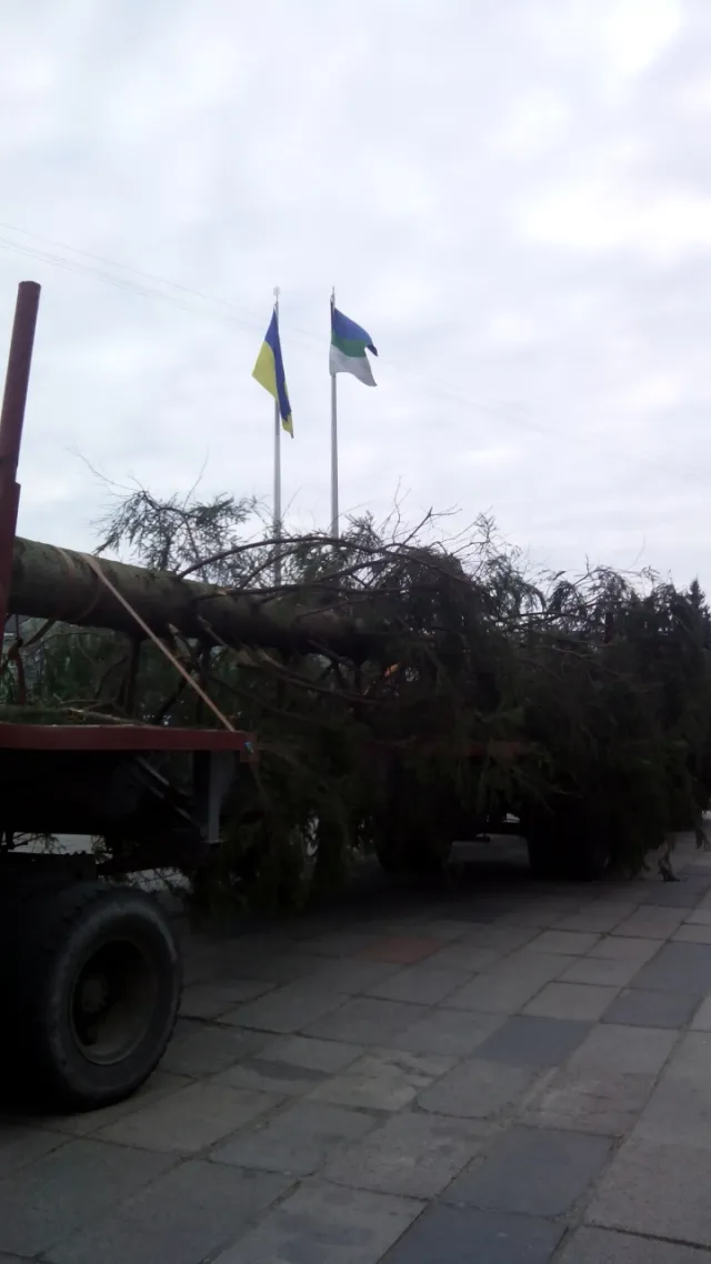 На центральну площу міста Рівне, привезли головну ялинку області (Фото) — фото 3